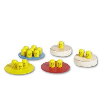 Bird Race