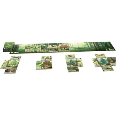 Forest Shuffle (2023) Board Game