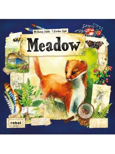 Meadow (2021) Meadow (2021)